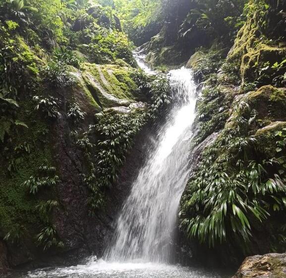 Resort Reserva La Cascada