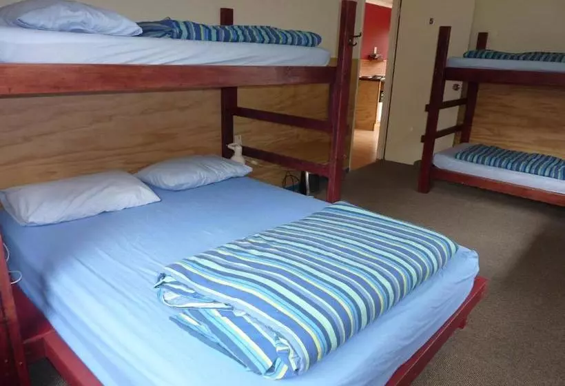 הוסטל Te Hui House