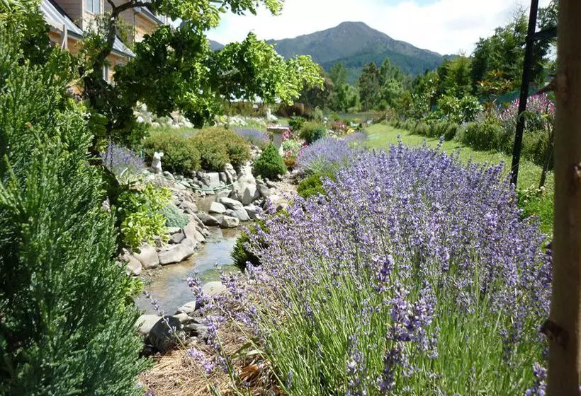 Aamiaismajoitus (B&B) Annerleigh Luxury Bed&Breakfast