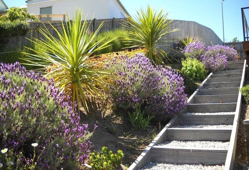 Criffel Peak View Bed And Breakfast