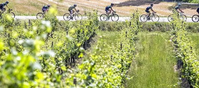 Отель Le Querce