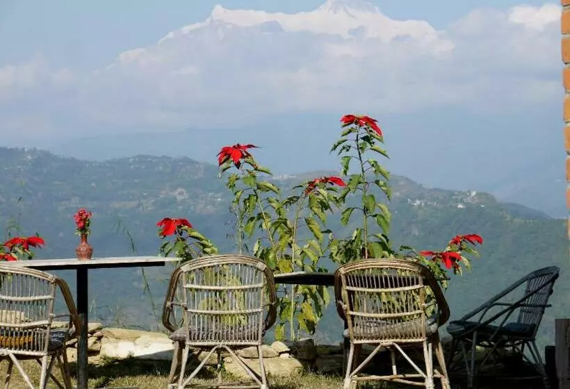 هتل Peace Dragon Lodge