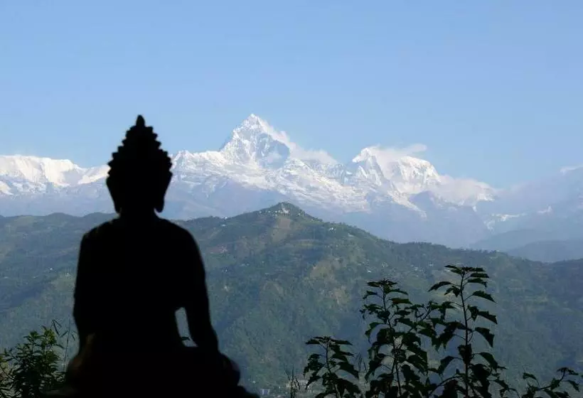 هتل Peace Dragon Lodge