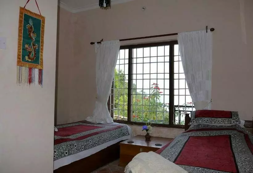 هتل Peace Dragon Lodge