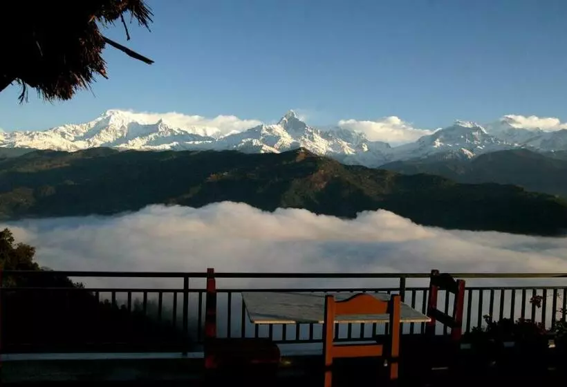 هتل Peace Dragon Lodge