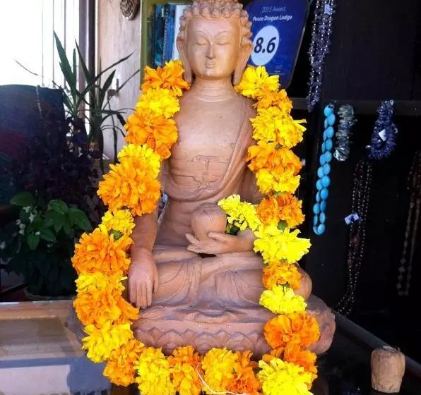 هتل Peace Dragon Lodge