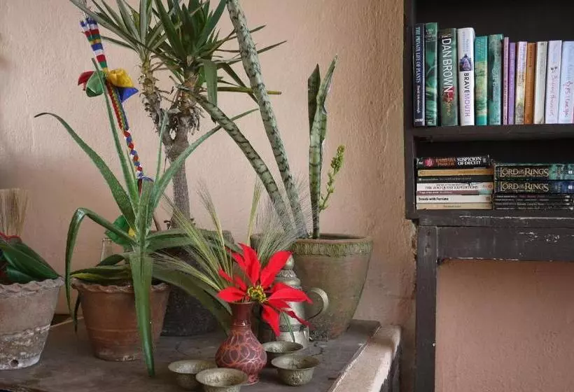 هتل Peace Dragon Lodge