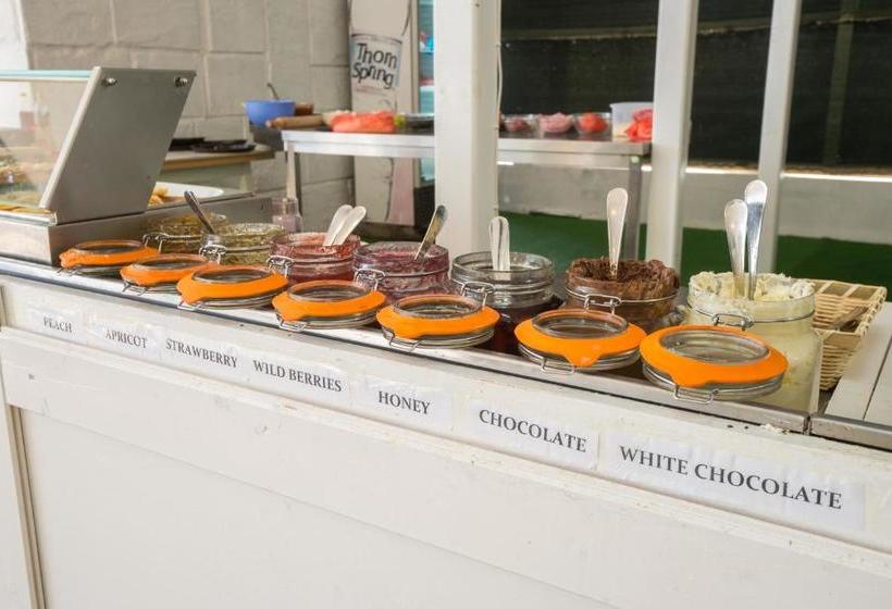 Perla Royal Hotel   All Inclusive