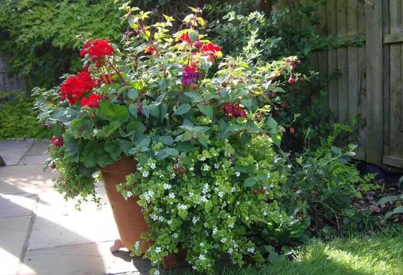 酒店 Pinfield Boutique