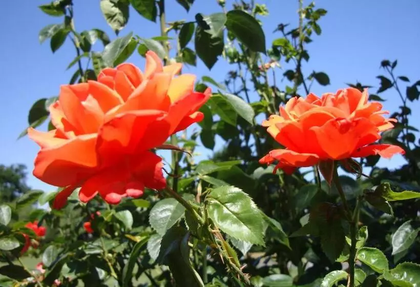 酒店 Pinfield Boutique