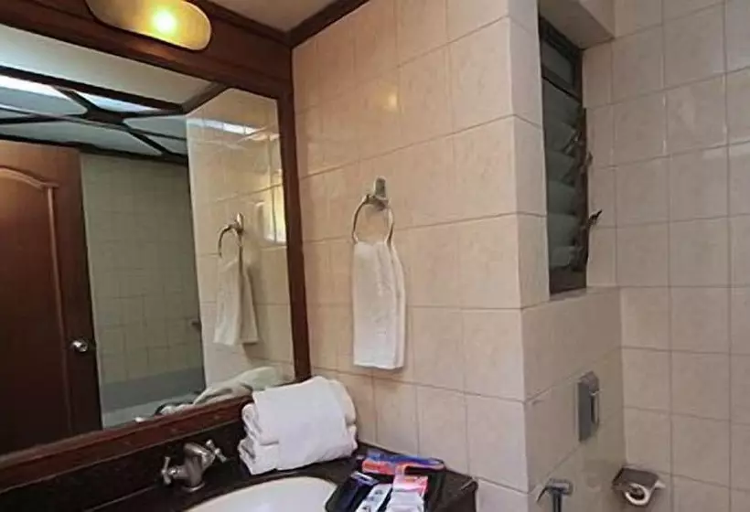 ホテル The Metropole