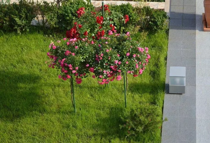 Panorama Rozat Apartment