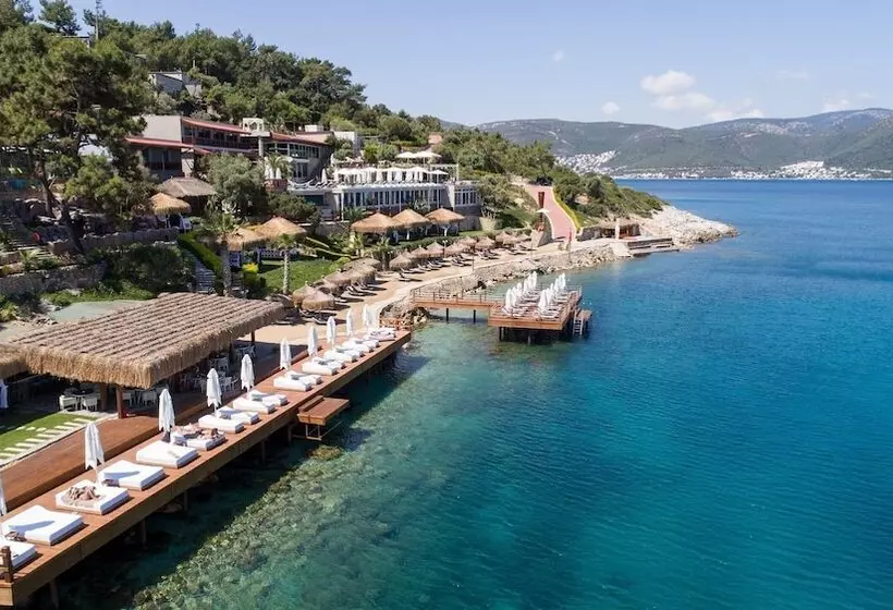 Sarpedor Boutique Hotel