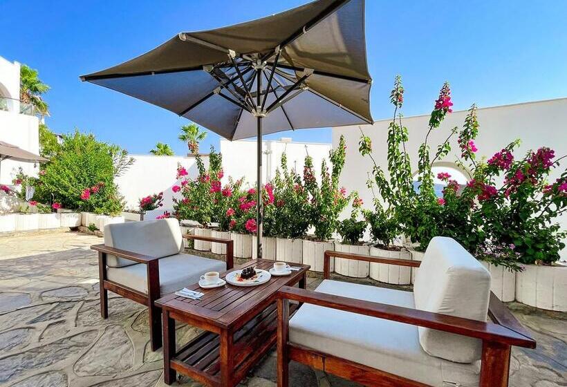 Senses Hotel   Adults Only