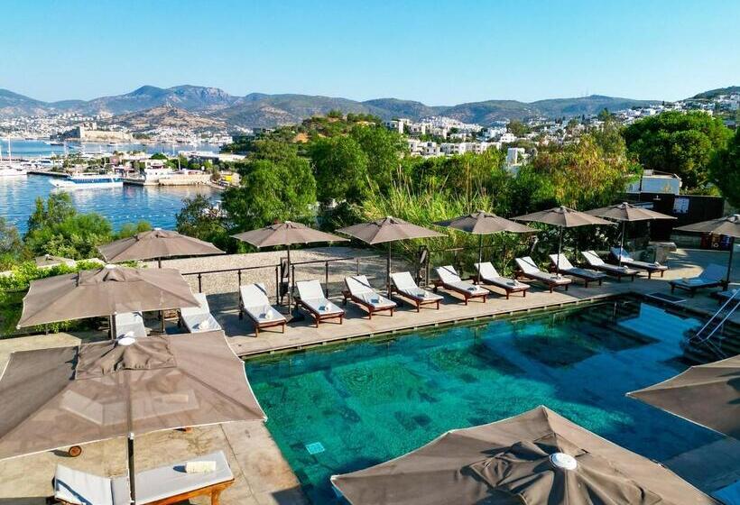 Senses Hotel   Adults Only