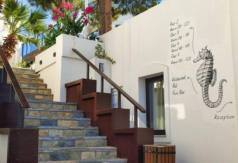 Senses Hotel   Adults Only