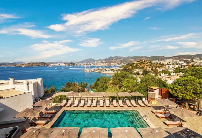 Senses Hotel   Adults Only