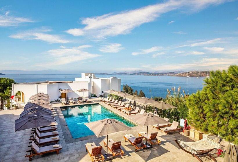 Senses Hotel   Adults Only