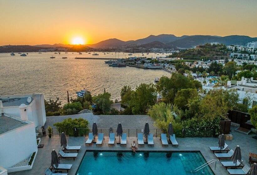 Senses Hotel   Adults Only