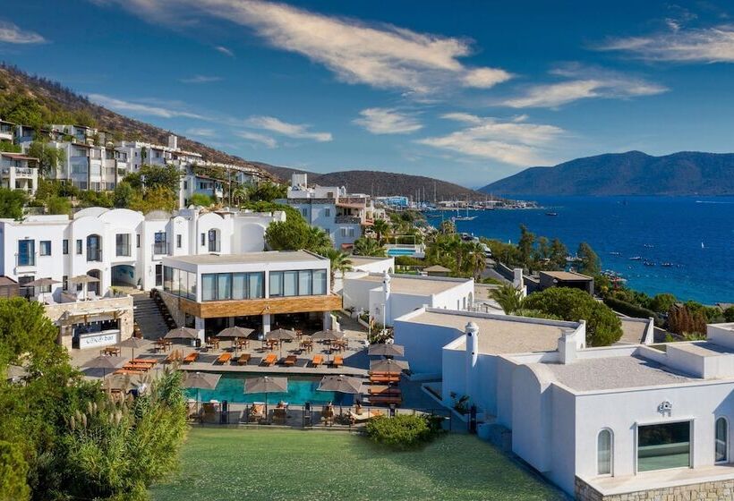 Senses Hotel   Adults Only