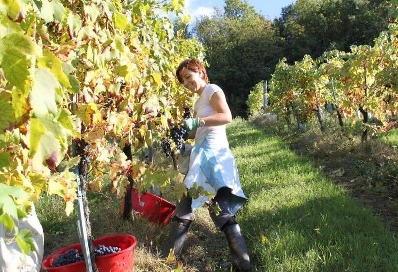 ホテル I Melograni Del Chianti