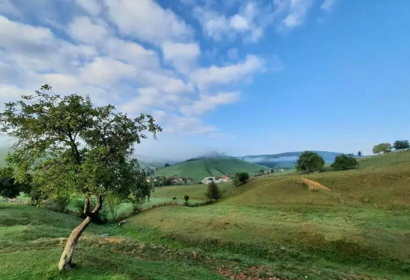 Majatalo Complex Dealu  Frumos