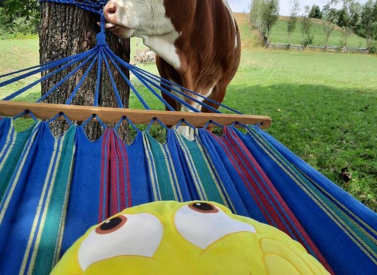 پانسیون Complex Dealu Frumos