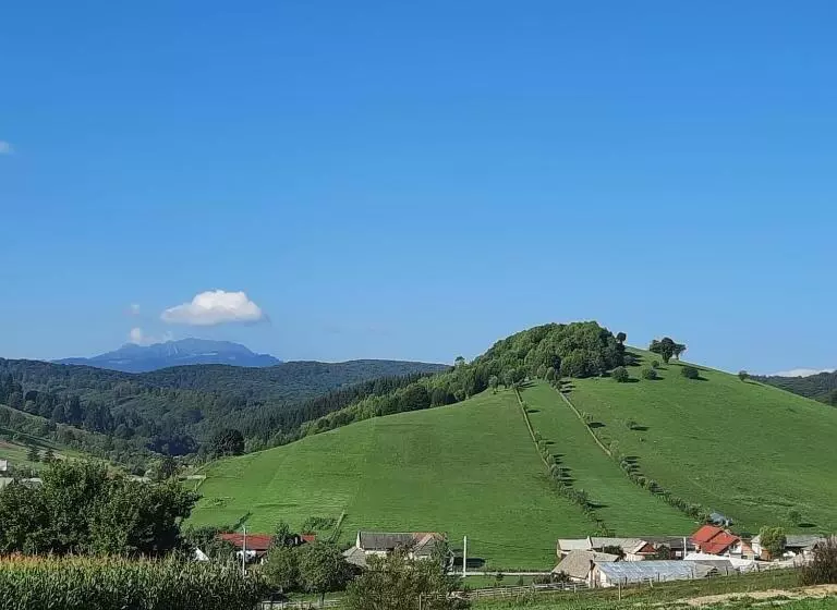 Majatalo Complex Dealu  Frumos