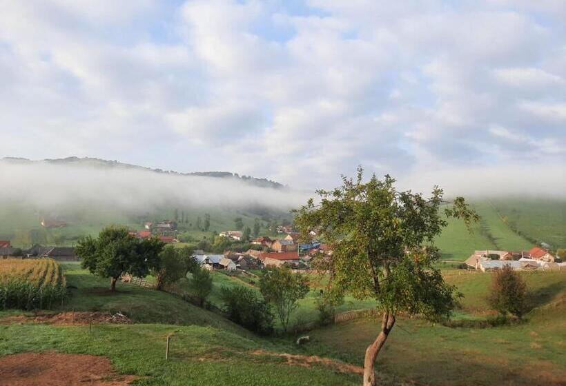 پانسیون Complex Dealu Frumos