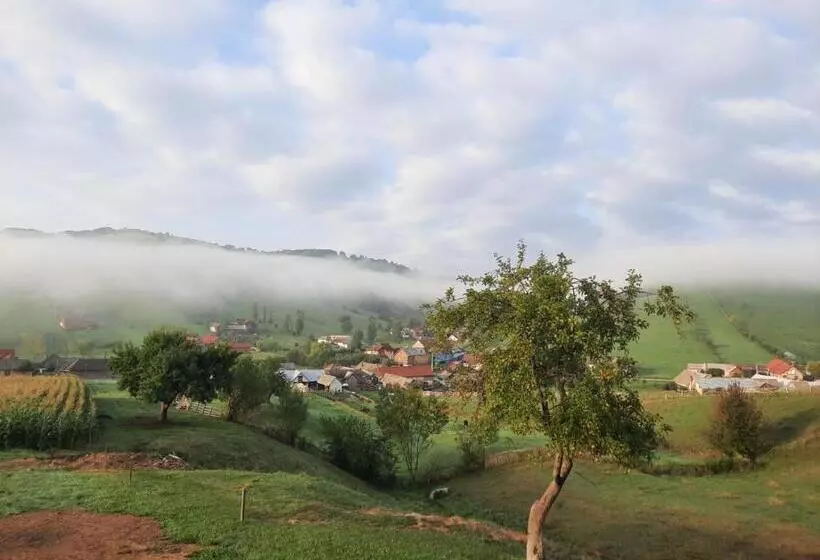 Majatalo Complex Dealu  Frumos