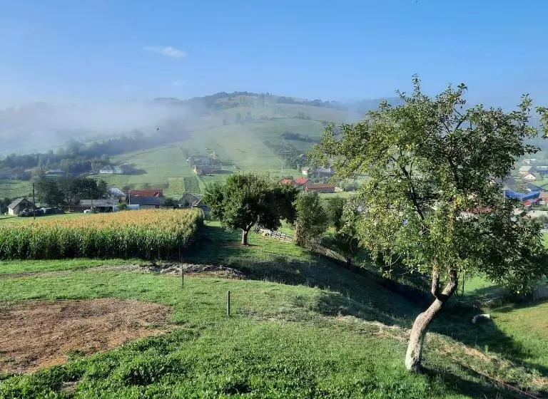 Majatalo Complex Dealu  Frumos