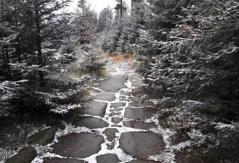 ベッドアンドブレックファースト La Maison Du Vannier