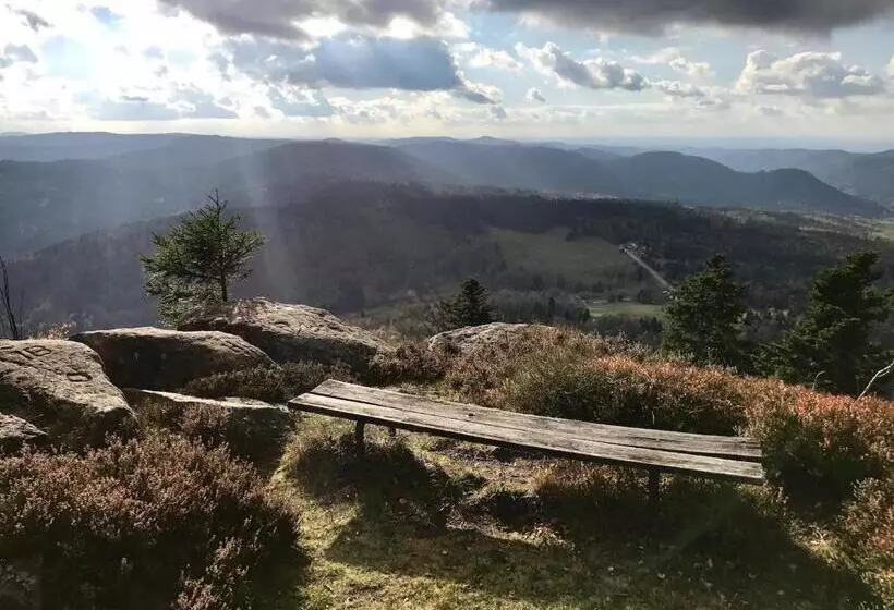 ベッドアンドブレックファースト La Maison Du Vannier