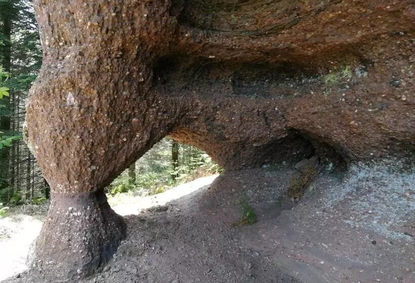 ベッドアンドブレックファースト La Maison Du Vannier