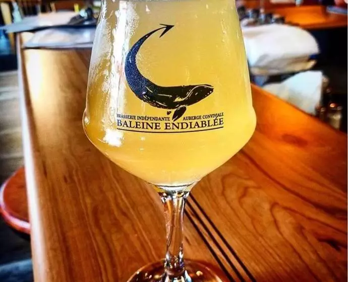 Hotelli La Baleine Endiablée Microbrasserie