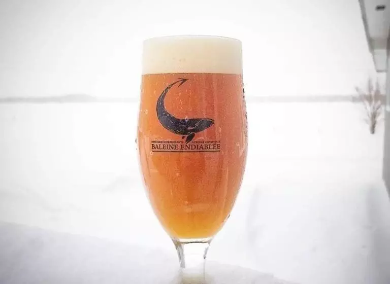 Hotelli La Baleine Endiablée Microbrasserie
