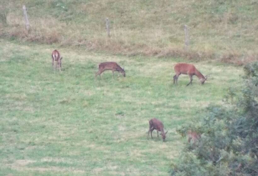 ペンション Au Coeur Du Volcantal