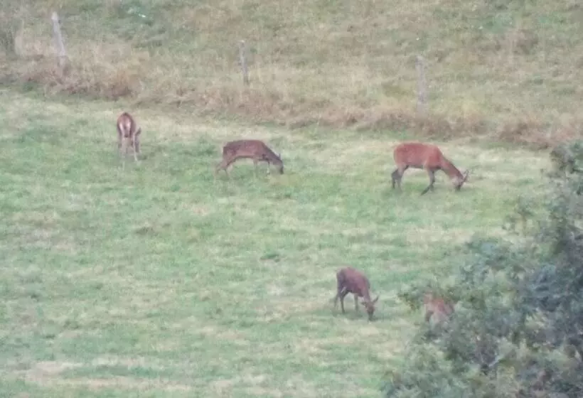 Majatalo Au Coeur Du Volcantal