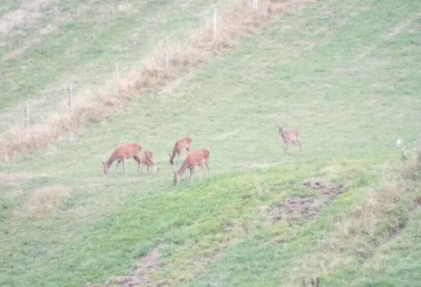 Majatalo Au Coeur Du Volcantal