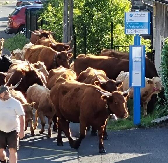 ペンション Au Coeur Du Volcantal