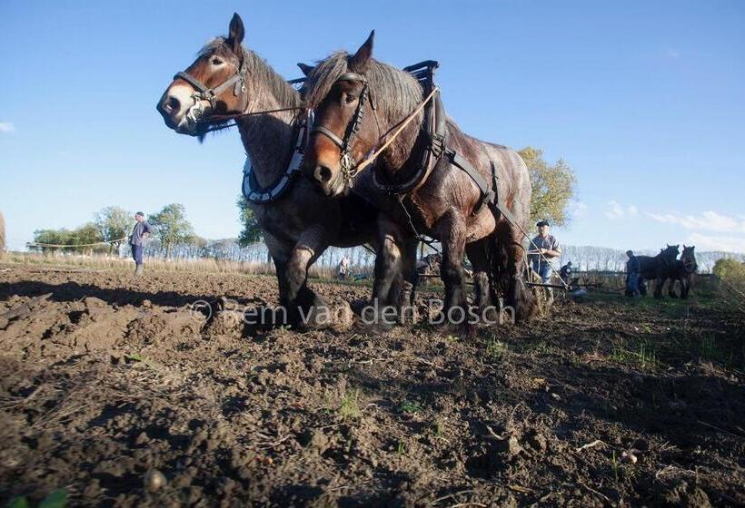 Пансион Tilias
