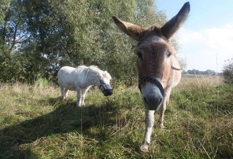 Пансион Tilias