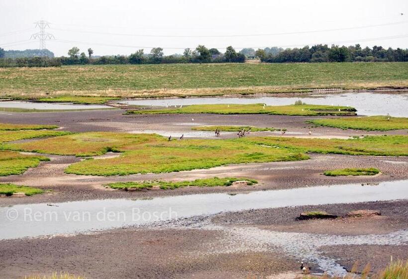 Пансион Tilias