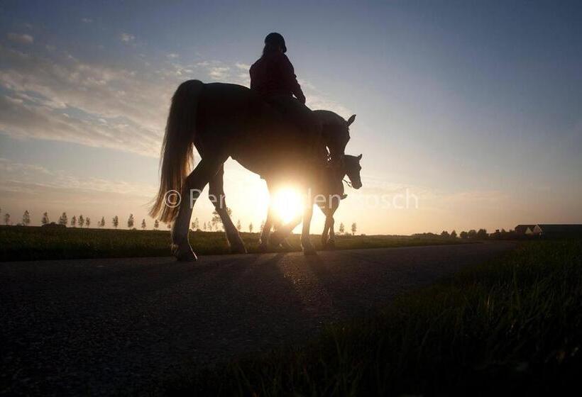 Пансион Tilias