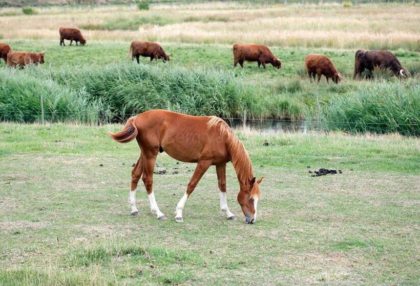 Пансион Tilias