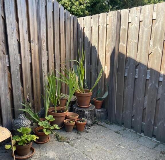 Пансион Tilias