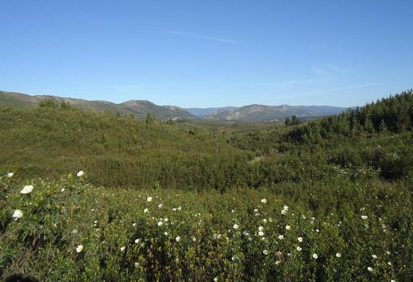 مبيت وإفطار Casa Das Estevas