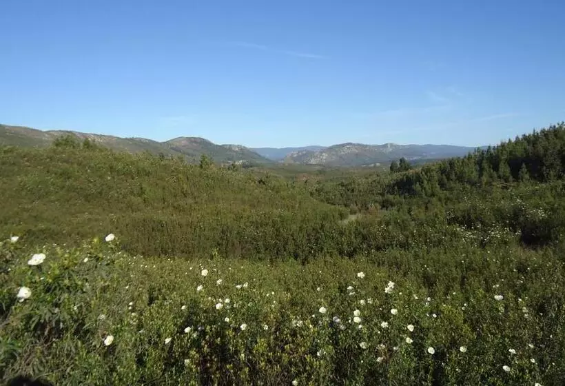 ベッドアンドブレックファースト Casa Das Estevas