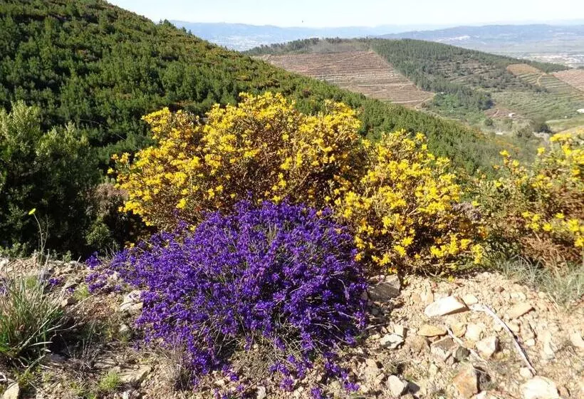 ベッドアンドブレックファースト Casa Das Estevas