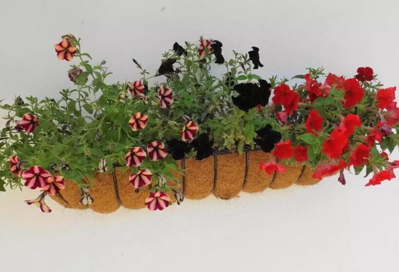 ベッドアンドブレックファースト Casa Das Estevas